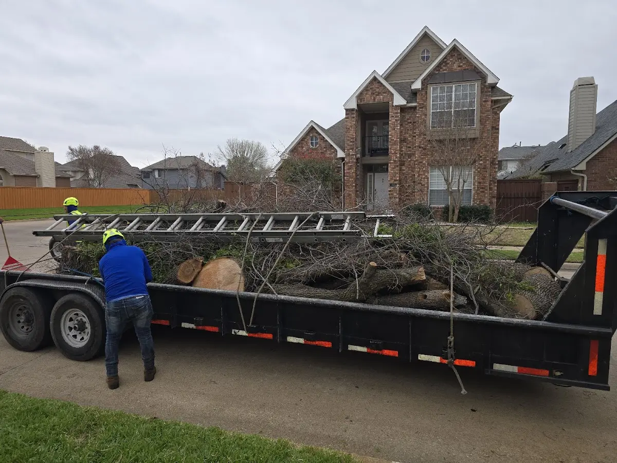 Expert Tree Fertilization with proper safety equipment in Babcock